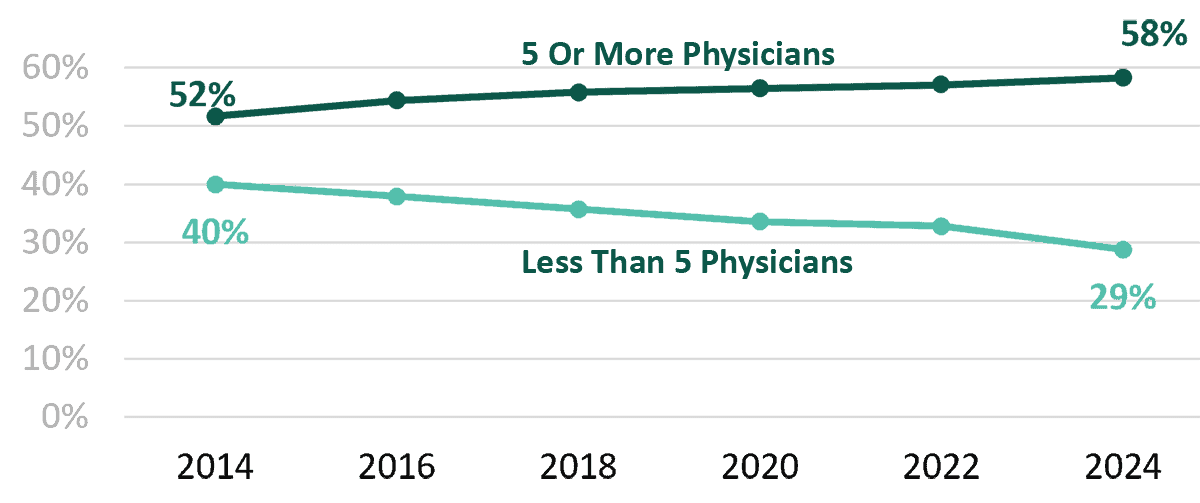 Physicians By Practice Size